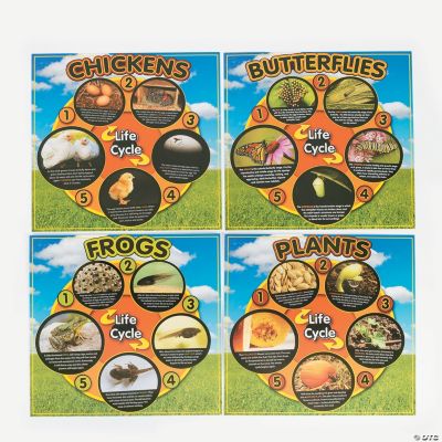 12 Sequencing Life Cycle Make-A-Sticker Scenes