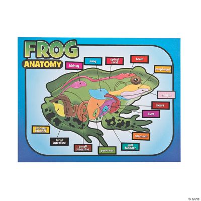 12 Frog Dissection Make-A-Sticker Scenes