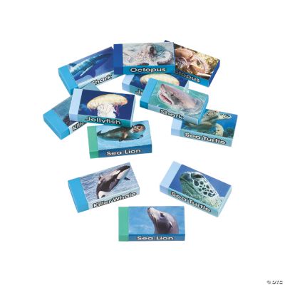Ocean Life Erasers