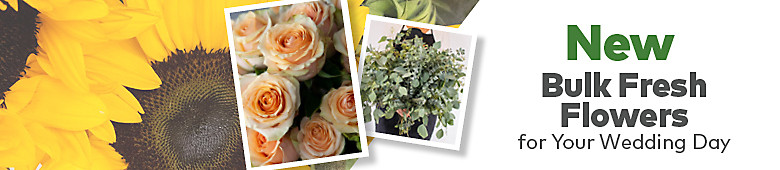 New Bulk Fresh Flowers for Your Wedding Day