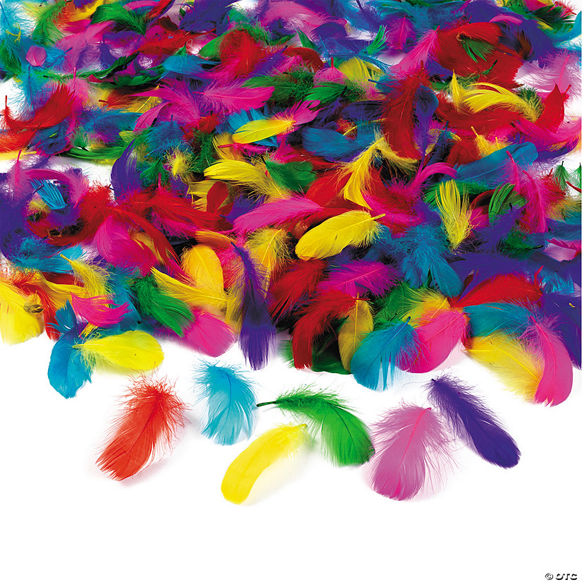 2 3/4" Bulk 600 Pc. Bright Colors Soft Feathers Craft Assortment Image