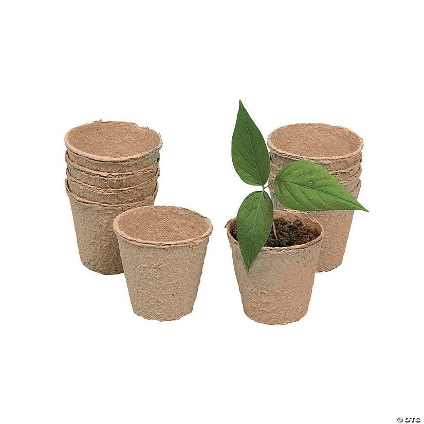 2" Small Biodegradable DIY Watch It Grow Seed Pots - 24 Pcs. Image