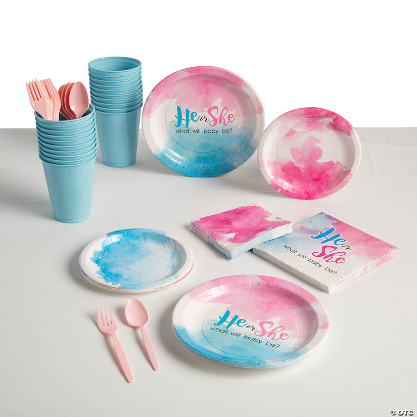203 Pc. Gender Reveal Disposable Tableware Kit for 24 Guests Image
