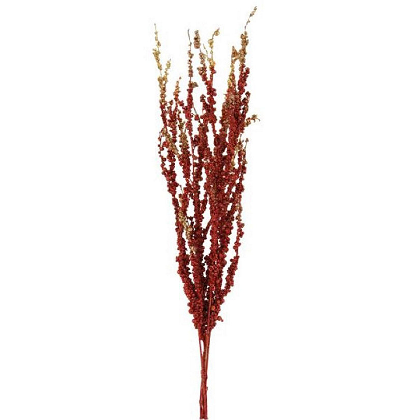 26 in. Glitter Berry Bamboo for BDLX6 Burgundy - Pack of 6 Image