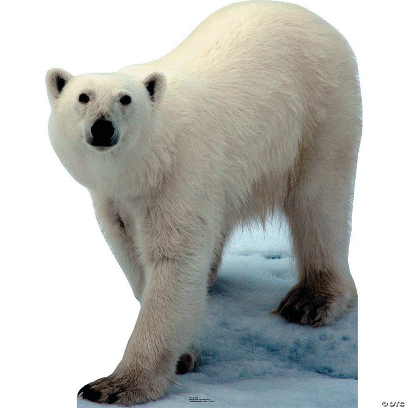 4 Ft. Polar Bear Cardboard Cutout Stand-Up Image