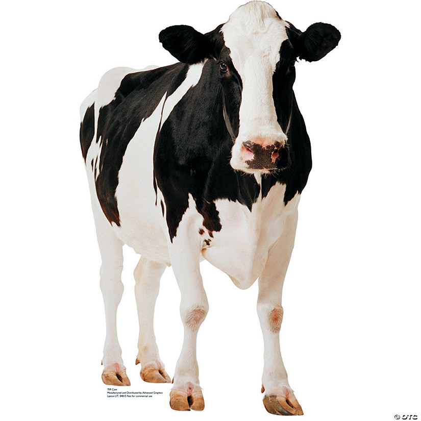 42" x 65" Holstein Friesian Cow Black & White Cardboard Cutout Stand-Up Image