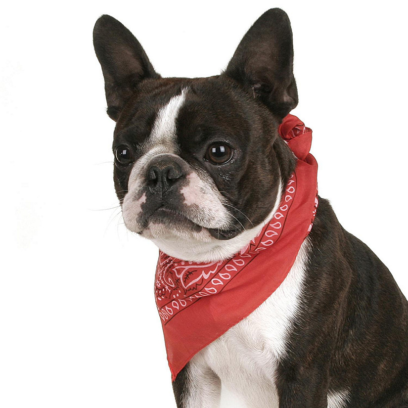 Balec Pack of 2 Paisley Cotton Dog Bandana Triangle Shape  - One Size Fits Most (Red) Image