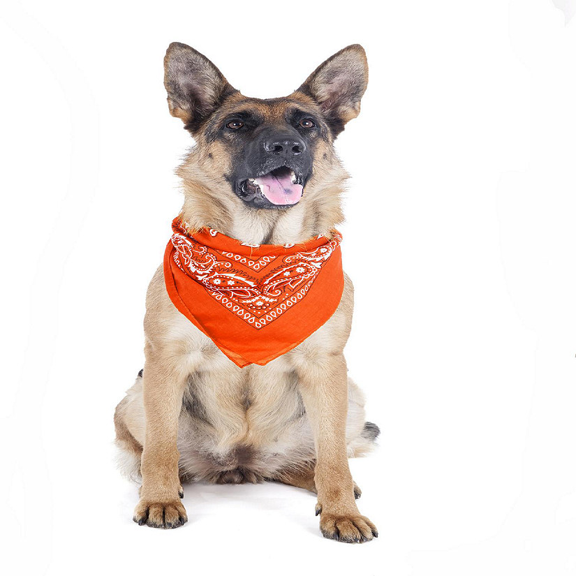 Balec Paisley Polyester Pets 6 Pack Dogs Bandana Triangle Shape  - Oversized (Orange) Image