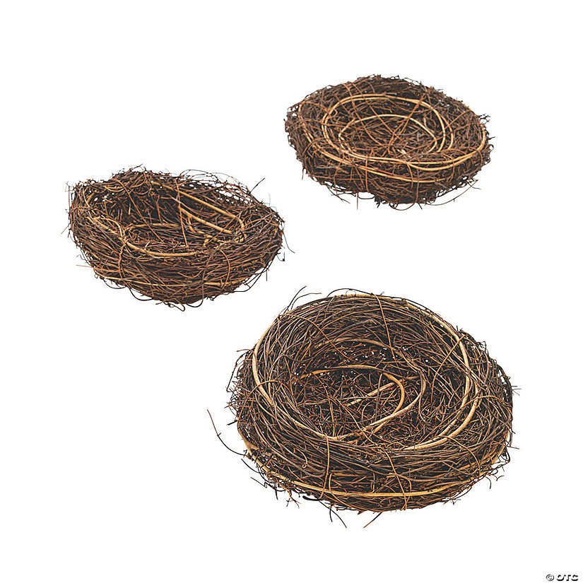 Bird Nests Image