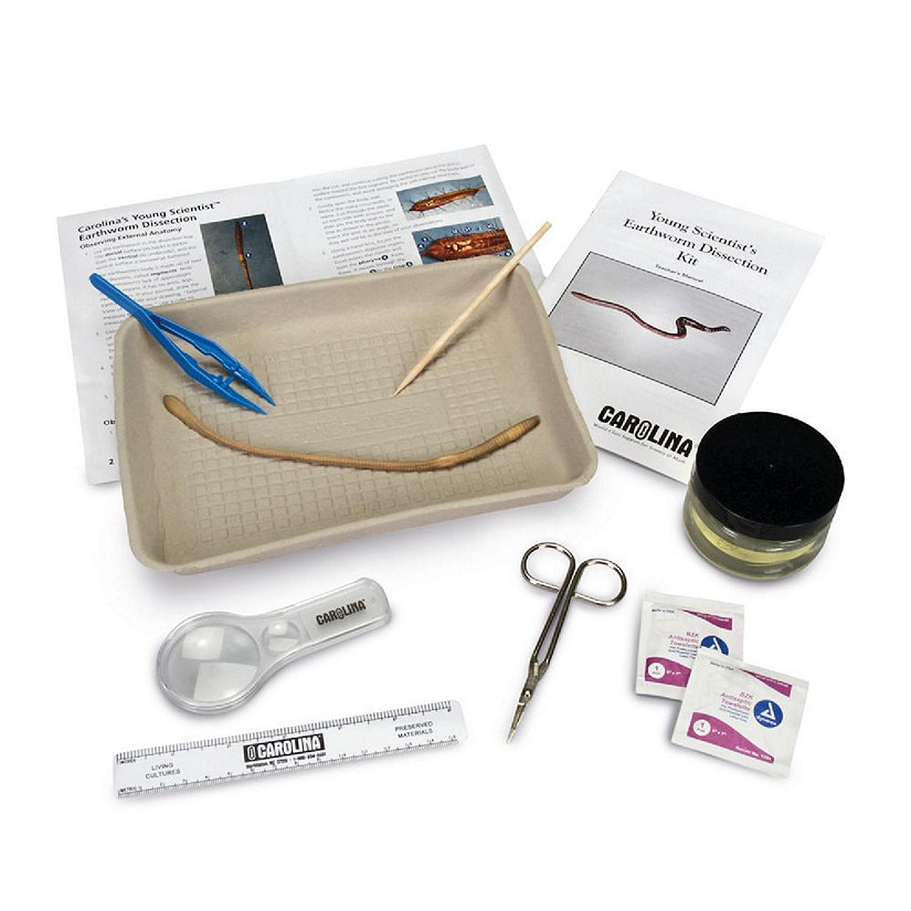 Carolina Biological Supply Company Carolina's Young Scientist&#8482; Earthworm Dissection Kit Image