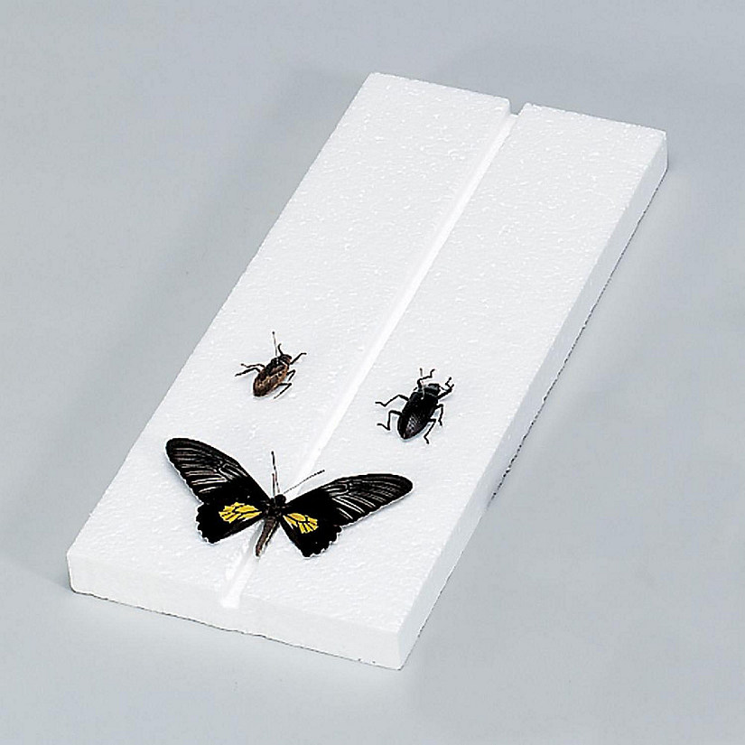 Carolina Biological Supply Company Insect Mounting Board, Styrofoam, Pack of 10 Image
