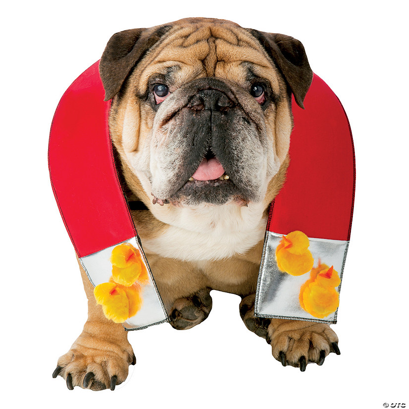 Chick Magnet Dog Costume Image