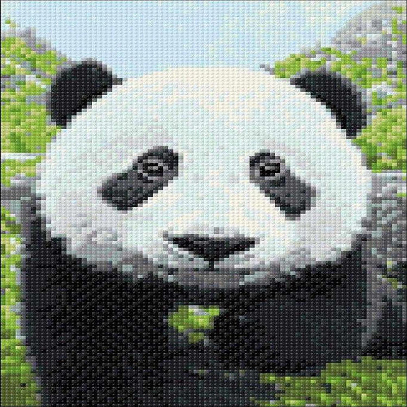 Crafting Spark (Wizardi) - Curious Panda WD074 11.8 x 7.9 inches Wizardi Diamond Painting Kit Image