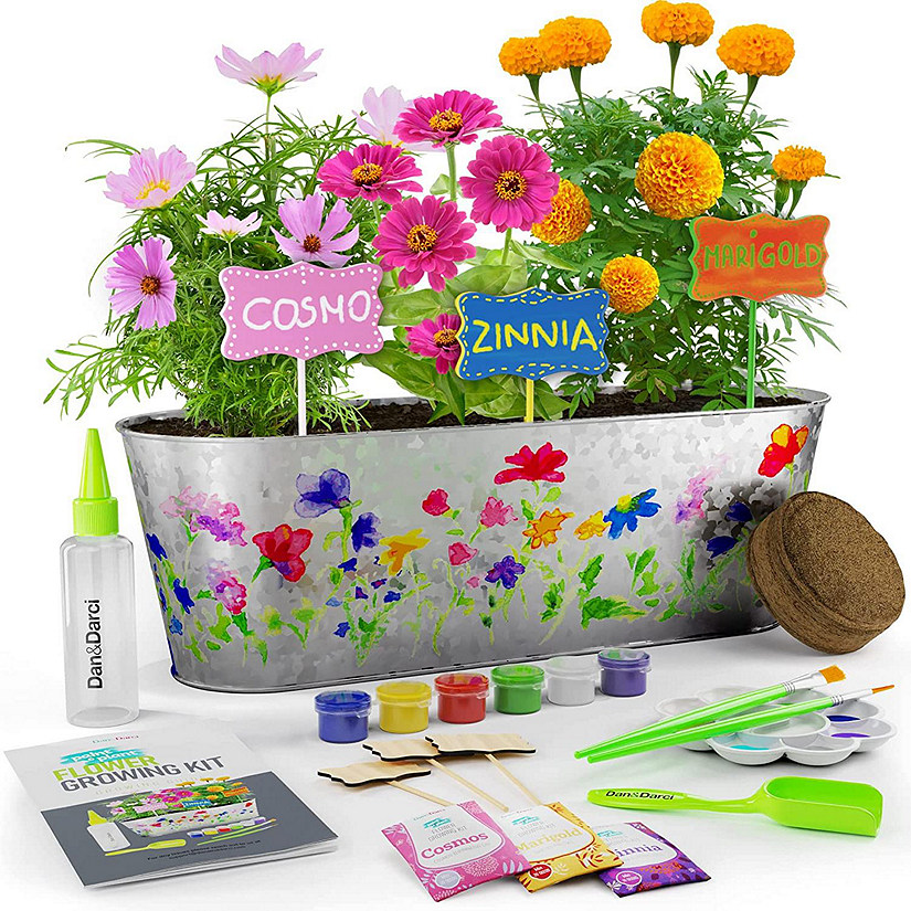 Dan&Darci - Paint & Plant Flower Growing Kit for Kids Image