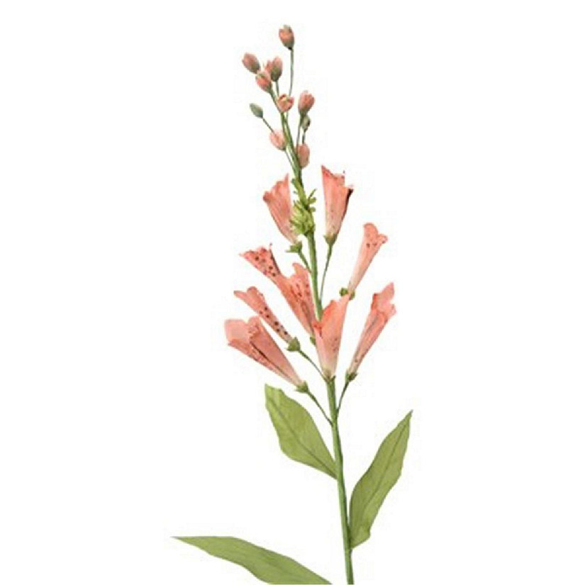 DIY Flower Soft Pink Foxglove x 13 - Pack of 12 Image
