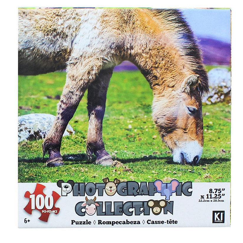 Donkey 100 Piece Photographic Collection Jigsaw Puzzle Image