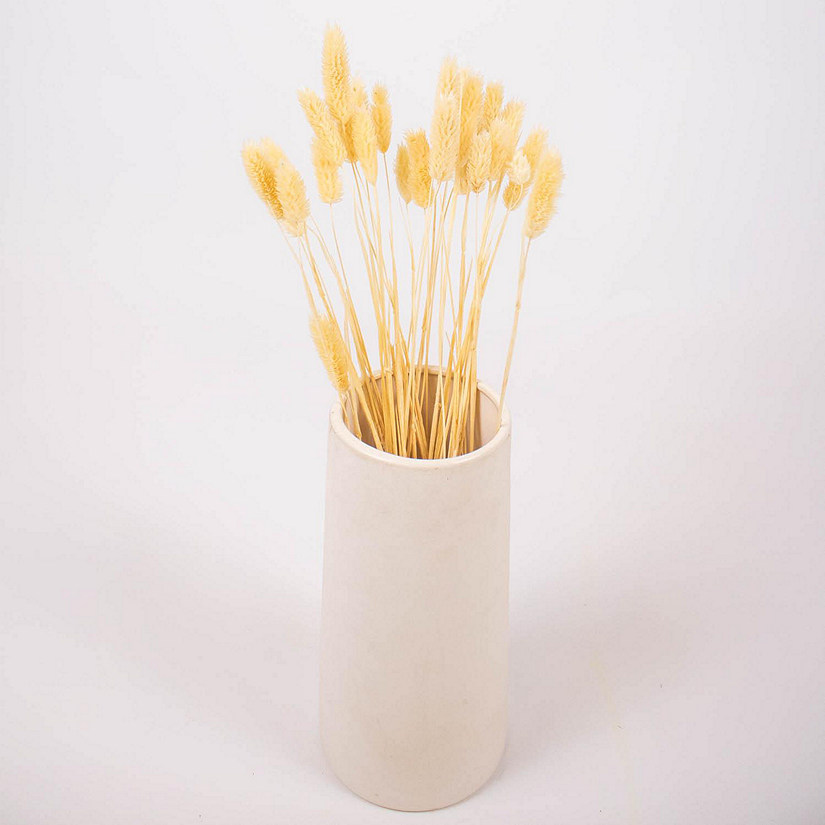 Dried Bleached Canary Grass Small Pack Image