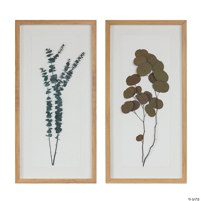 Dried Eucalyptus Frame (Set Of 2) 14"L X 27.5"H Wood/Paper Image
