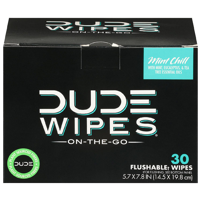 Dude Wipes - Wipes Body Mint Chill - 1 Each-30 CT Image