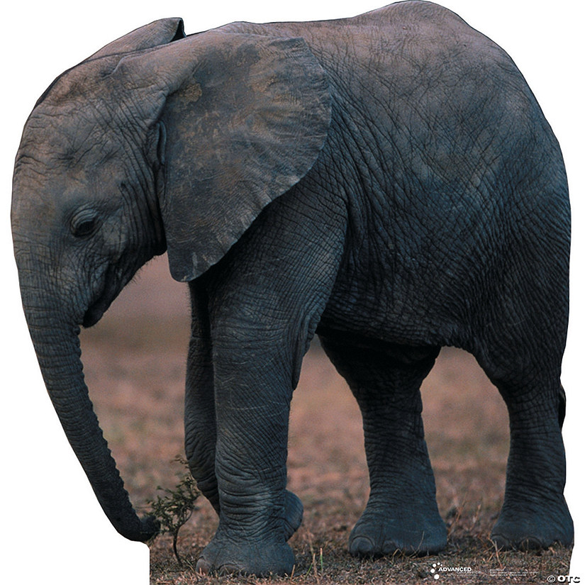 Elephant Cardboard Stand-Up Image