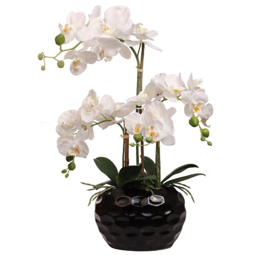 Floral Home White 20.5" Orchid Flower in Black Vase 1pc Image