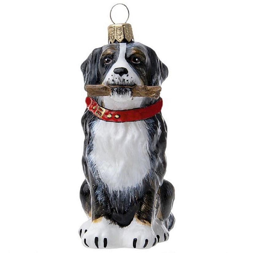 Joy To The World Bernese Mountain Dog with Fetching Stick Polish Glass Ornament Image