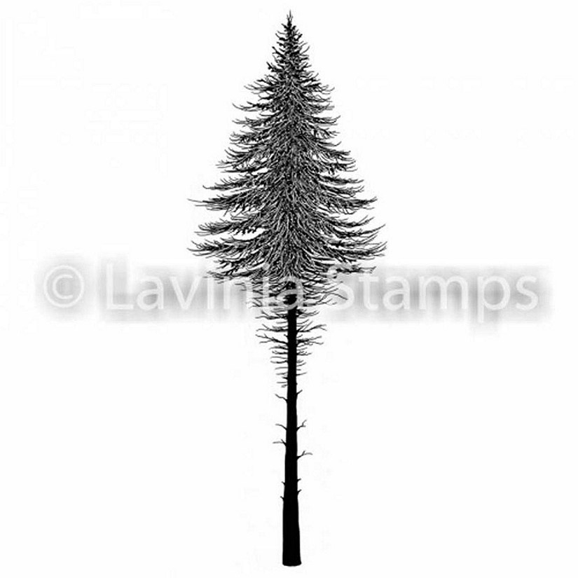 Lavinia Stamps Lavinia Stamp  Fairy Fir Tree 2 Image
