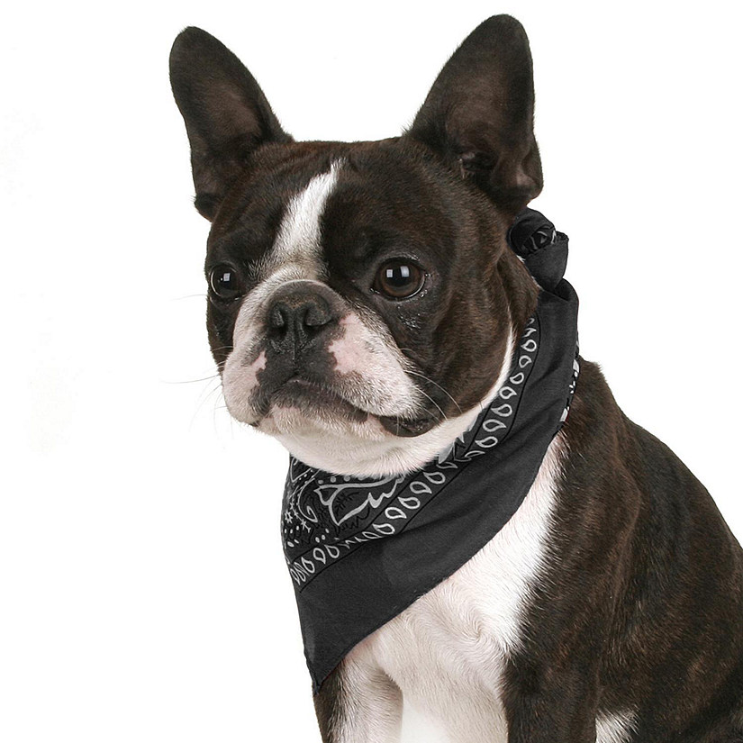 Mechaly Pack of 8 Paisley Cotton Dog Bandana Triangle Shape  - Fits Most Pets (Black) Image