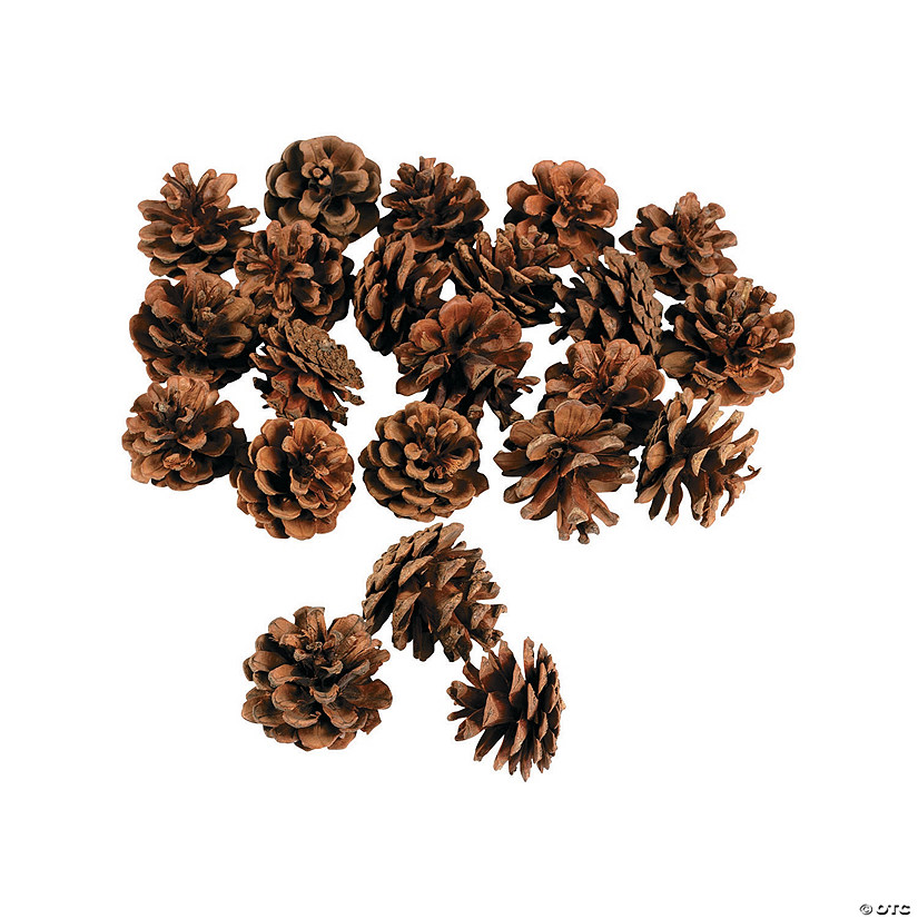 Mini Natural Pinecones - 24 Pc. Image