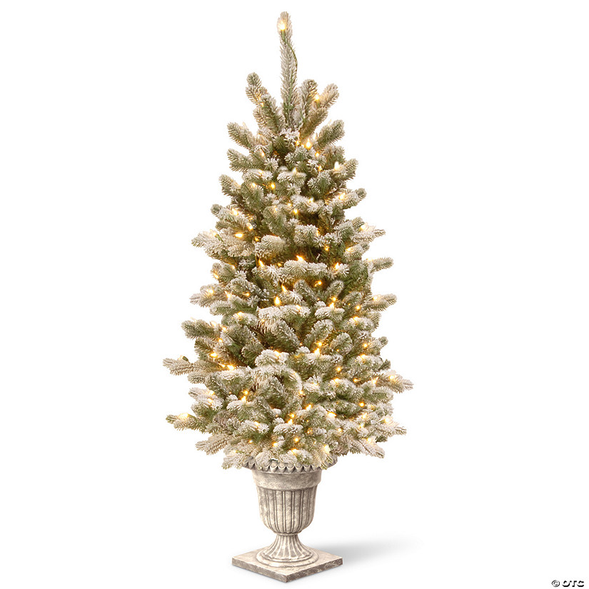 National Tree Company 4 ft. Pre-Lit Artificial Christmas Entrance Tree, Snowy Sheffield Spruce with Twinkly LED Lights, Plug in Image