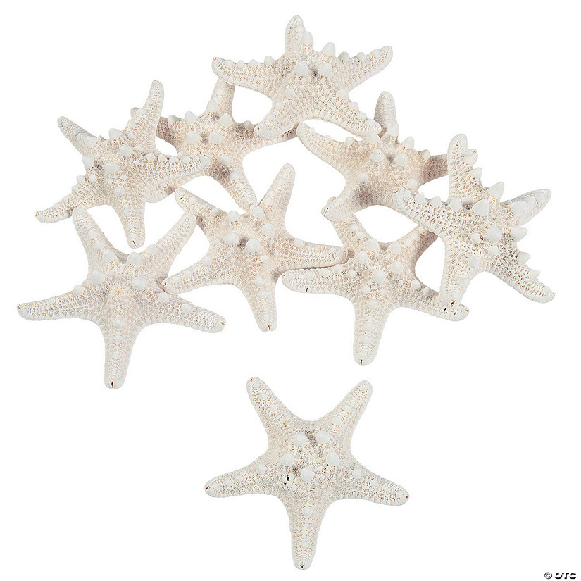 Natural Bleached Philippine Starfish - 12 Pc. Image