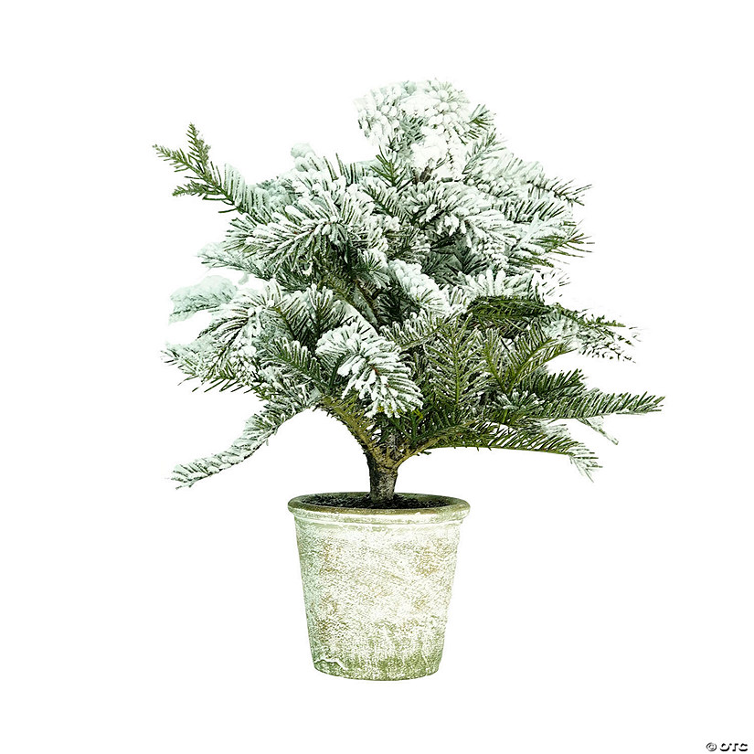 Northlight 20" Flocked White and Green Artificial Pine Tree with a Pot Image