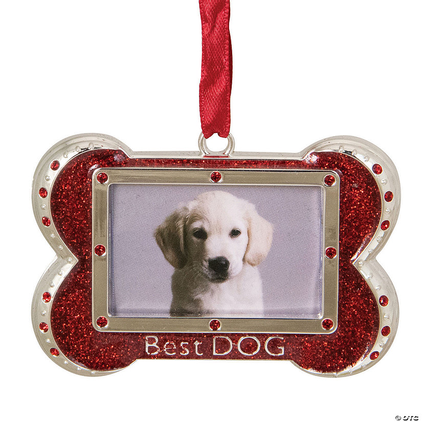 Northlight 3" Red and Silver-Plated Best Dog Bone Christmas Ornament with European Crystals Image