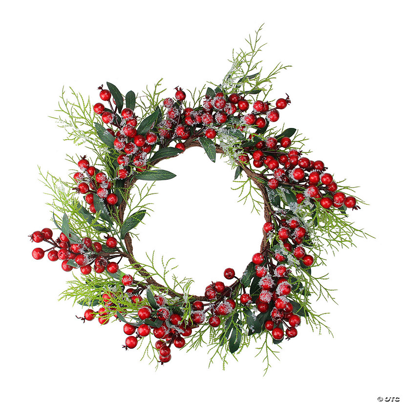 Northlight Frosted Green Leaves and Red Berries Artificial Christmas Wreath - 18-Inch  Unlit Image
