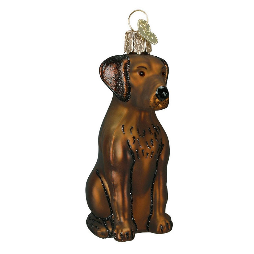 Old World Christmas 12387 Glass Blown Chocolate Labrador Ornament Image