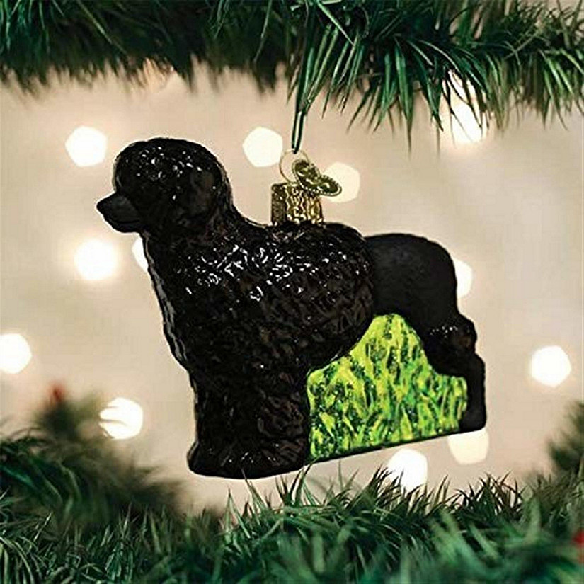 Old World Christmas 12564 Glass Blown Portuguese Water Dog Ornament Image