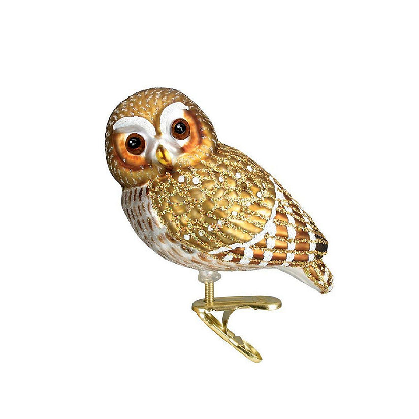 Old World Christmas Clip-on Pygmy Owl Bird Blown Glass Ornament 18067 FREE BOX Image