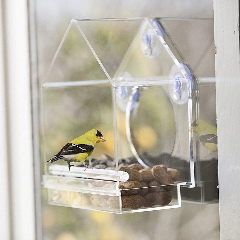 OnDisplay Window Mounted Clear Acrylic Bird House Image