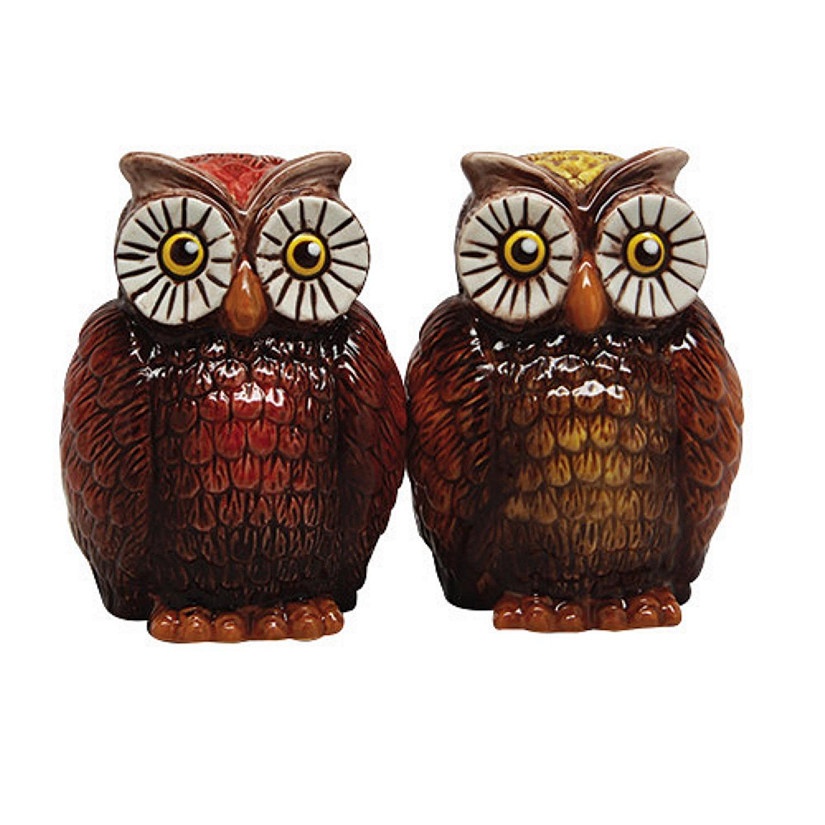Owls Ceramic Salt and Pepper Shaker Set Image