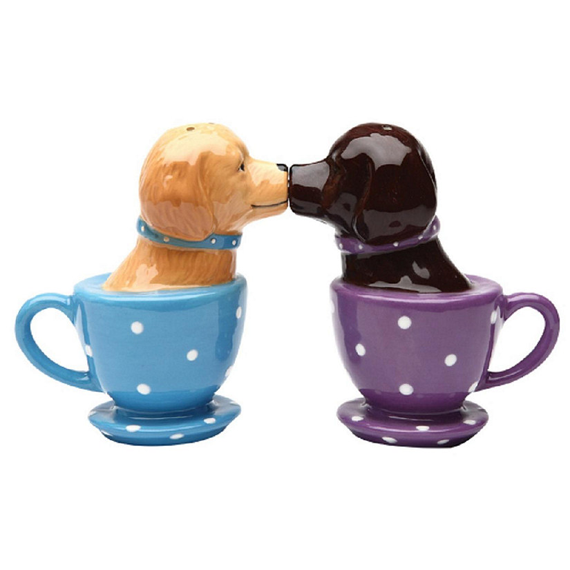 Pacific Trading Tea Cup Labs Ceramic Salt and Pepper Shaker Set 3.5 Inch Image