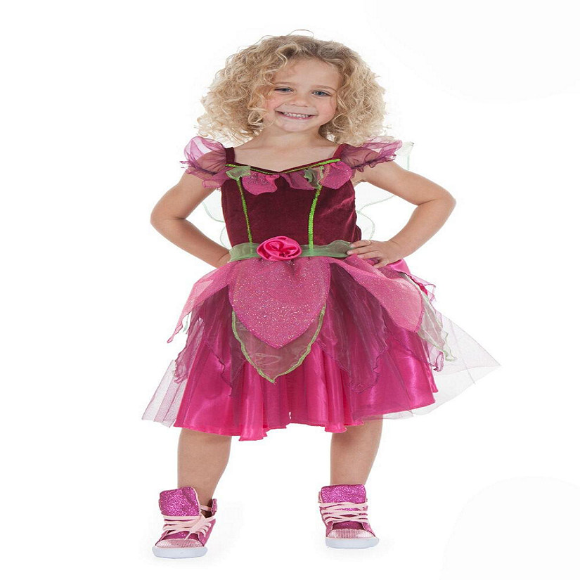 Pink Fairy Toddler Costume  2/4 Years Image