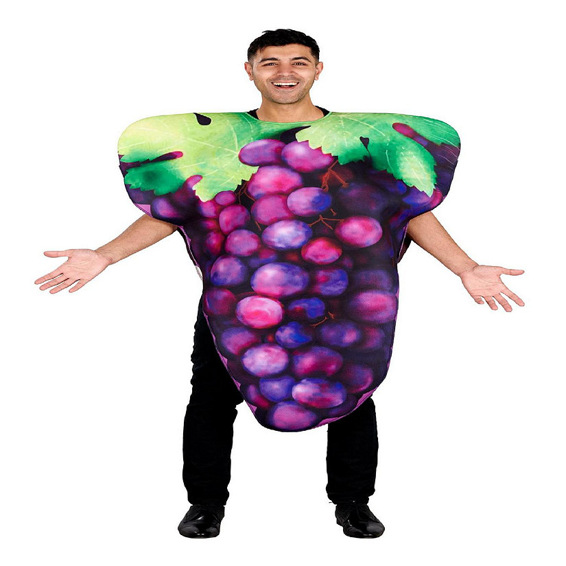 Purple Grapes Adult Costume  One Size Image