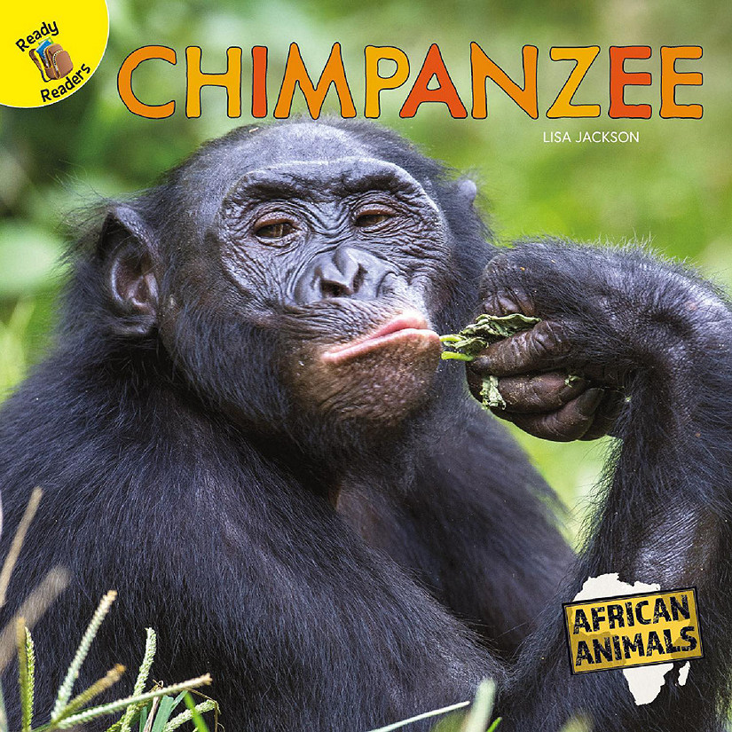 Rourke Educational Media African Animals Chimpanzee Reader Image