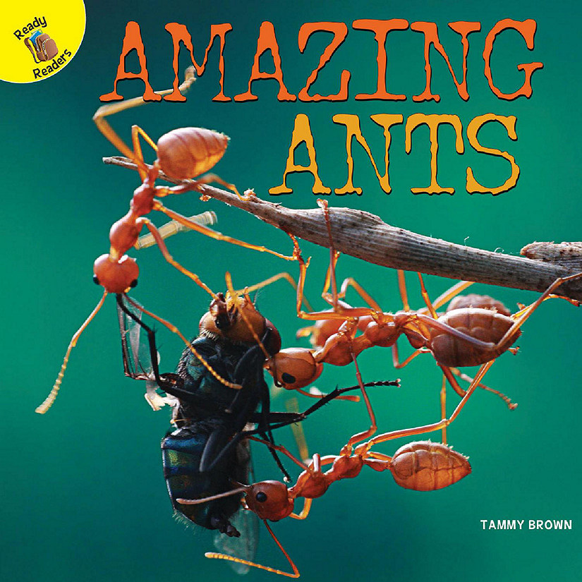 Rourke Educational Media Amazing Ants Image