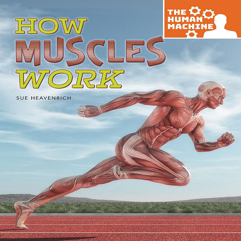 Rourke Educational Media How Muscles Work Image