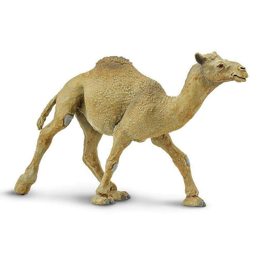 Safari Dromedary Camel Toy Image