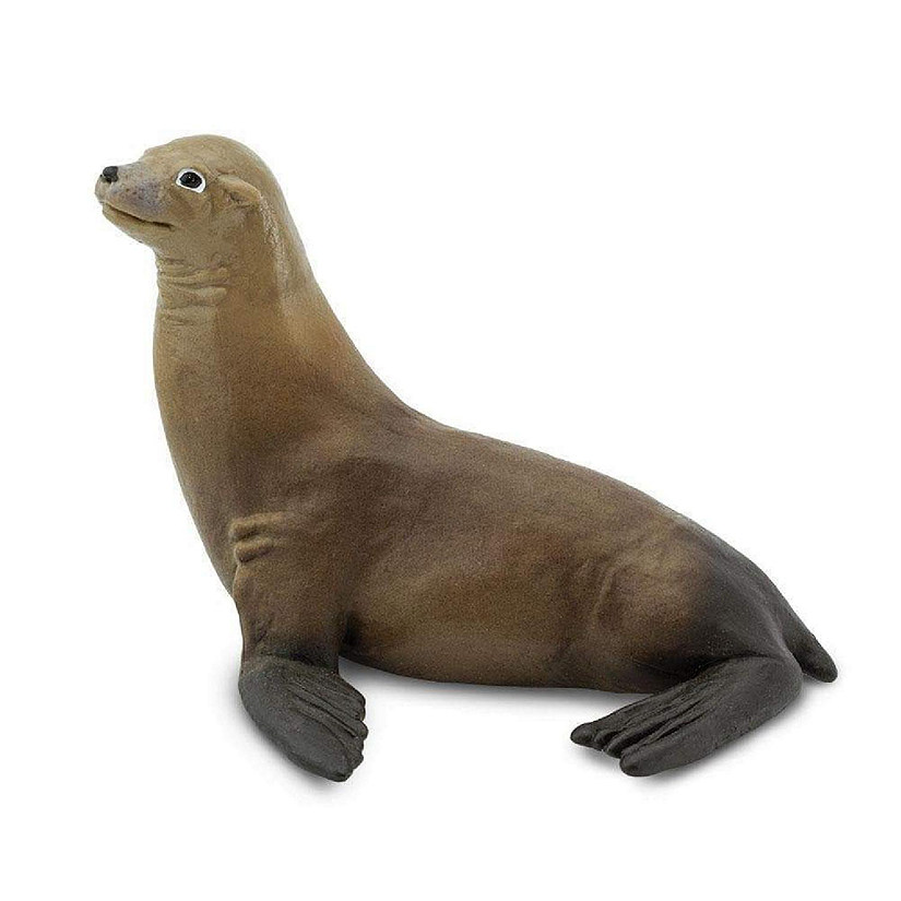 Safari Sea Lion Toy Image