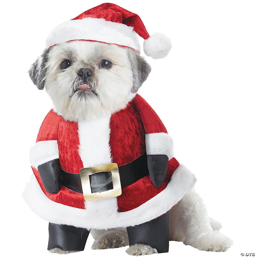Santa Paws Dog Costume Image