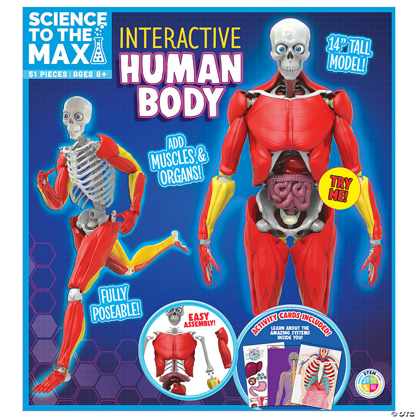 Science to the Max Interactive Human Body Image