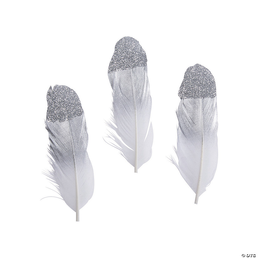 Silver Glitter Feathers Image